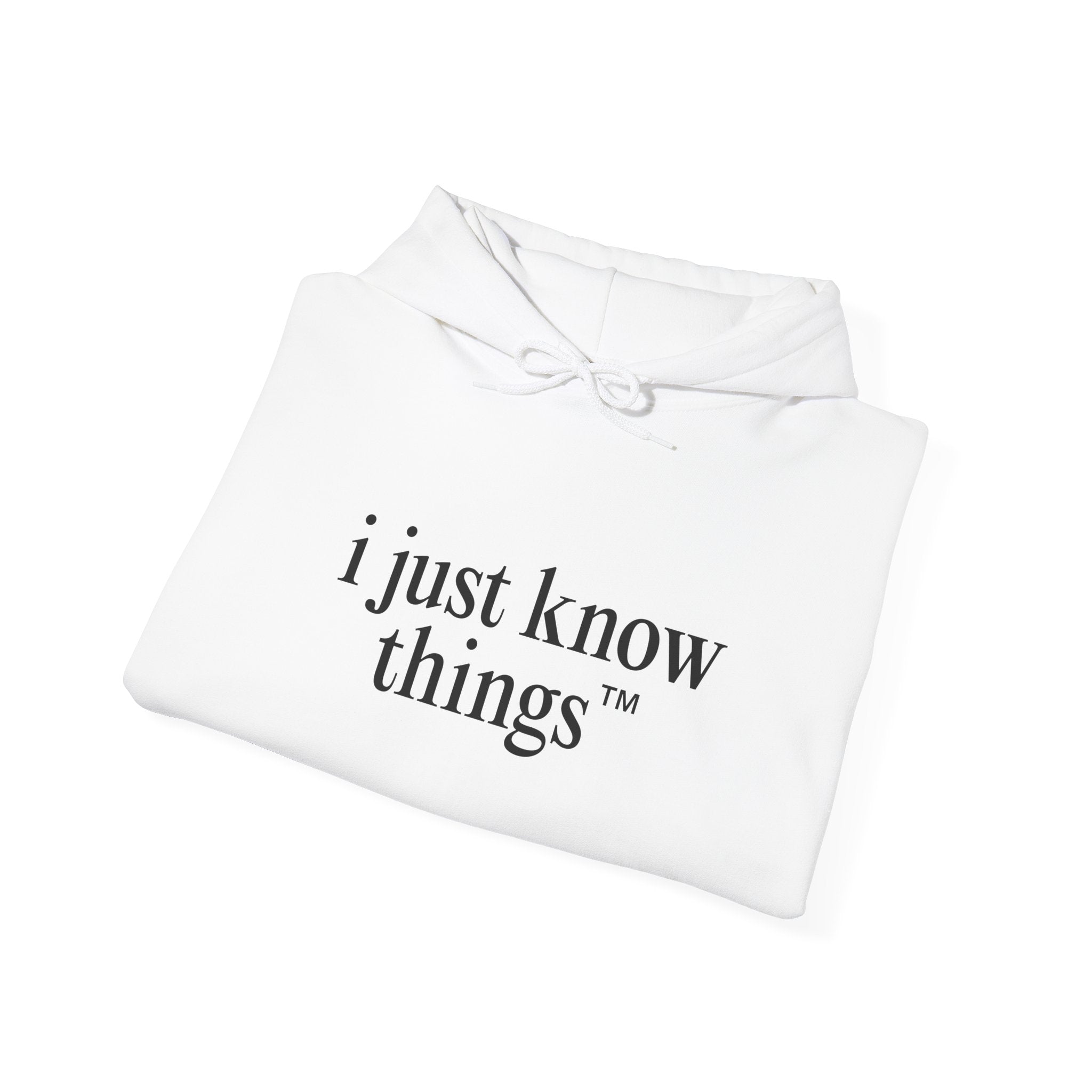 "i just know things" Hoodie