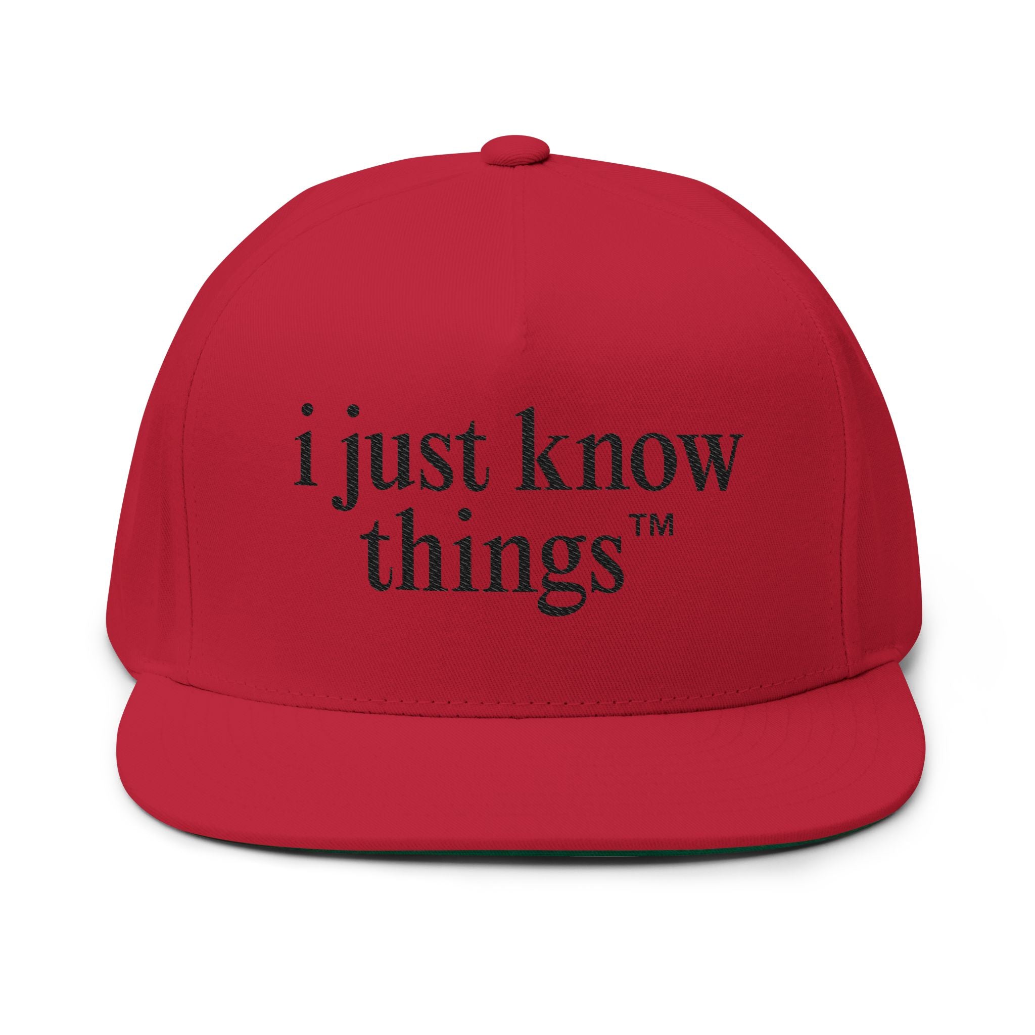 "i just know things" - Snapback Cap